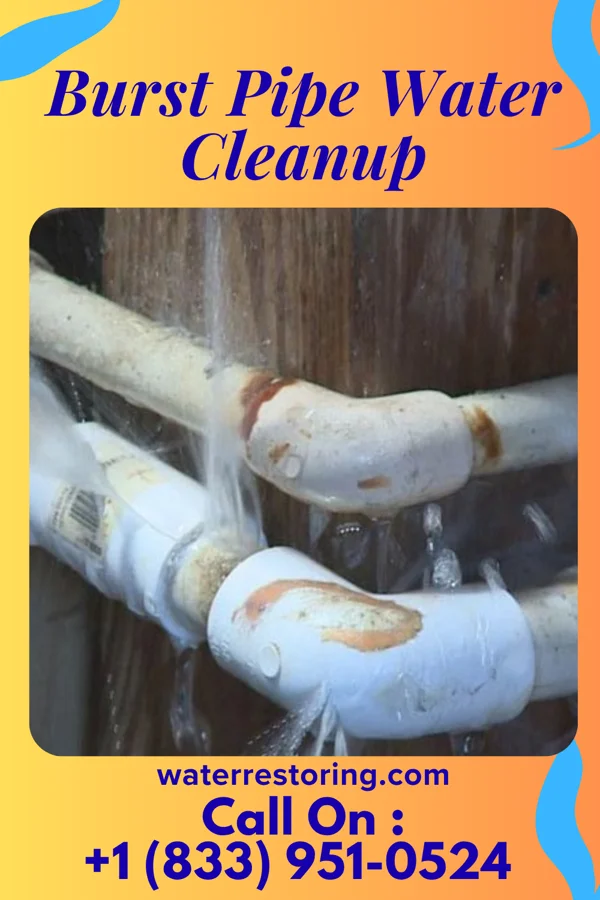 Burst Pipe Water Cleanup in Kenova, WV