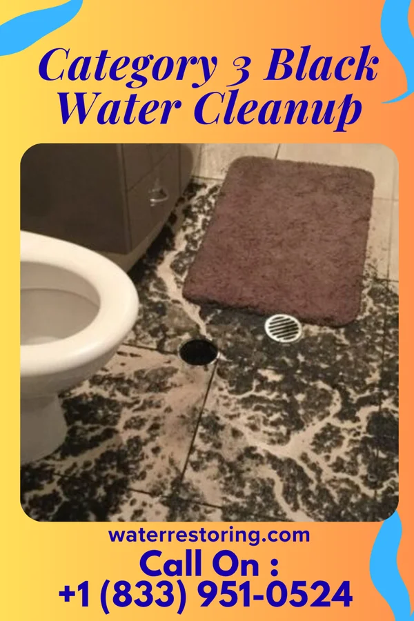 Category 3 Black Water Cleanup in Kenova, WV