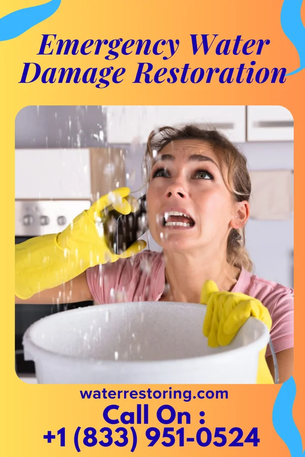 Emergency Water Damage Restoration in Kenova, WV