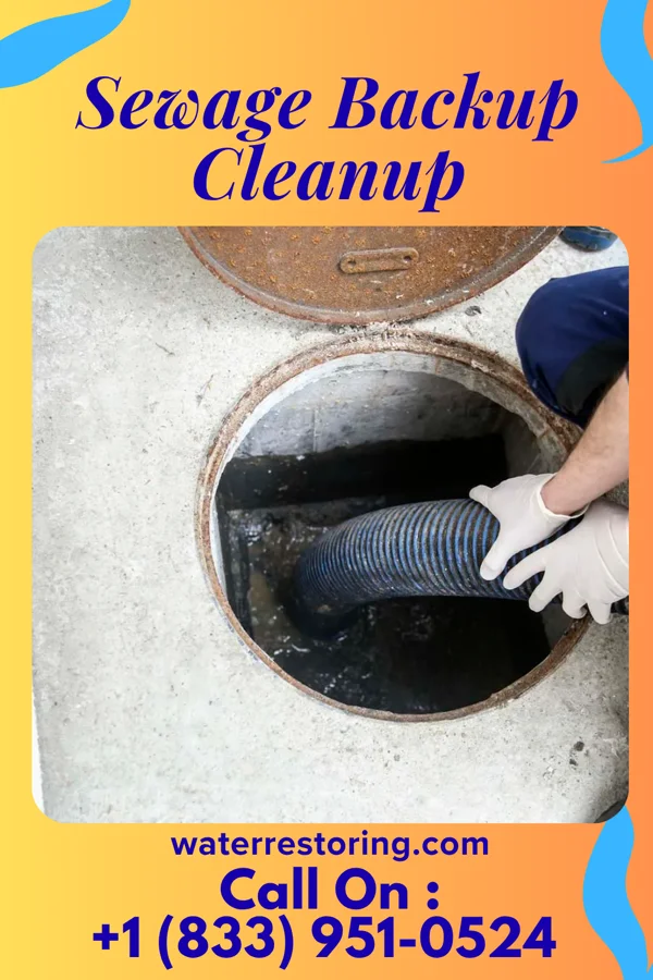 Sewage Backup Cleanup in Kenova, WV