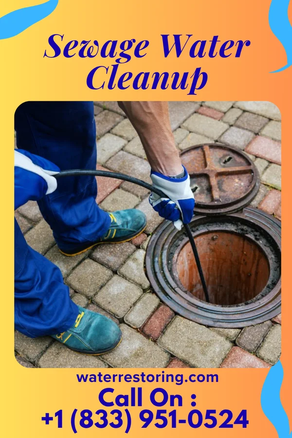 Sewage Water Cleanup in Kenova, WV